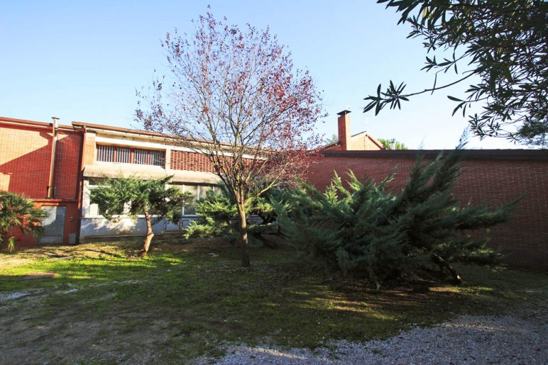 Scuola Secondaria Iº G. Conte